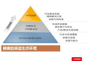 邁向全信息企業管理時代 戰略轉型與系統構建
